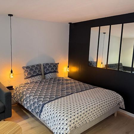 Grand Studio - Au Faubourg - Strasbourg Centre Apartment Exterior foto