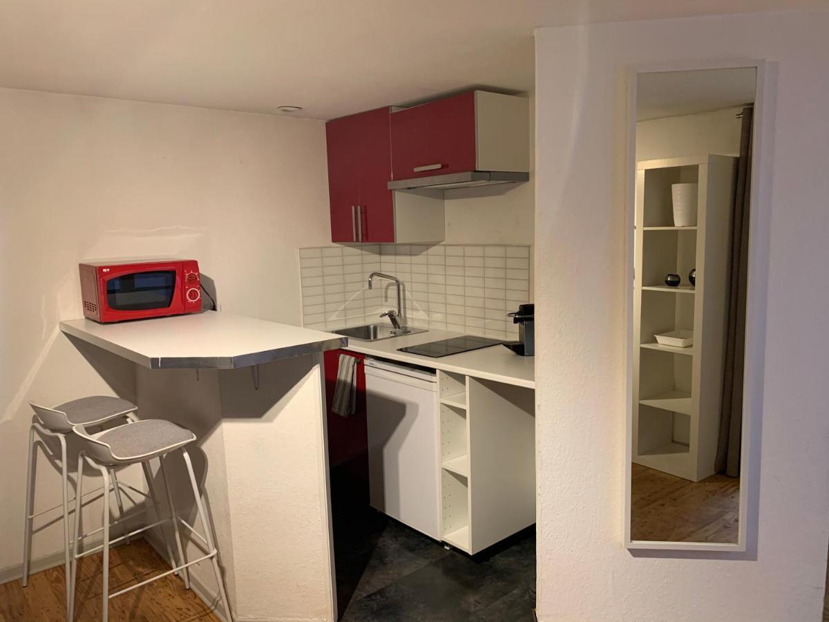 Grand Studio - Au Faubourg - Strasbourg Centre Apartment Exterior foto