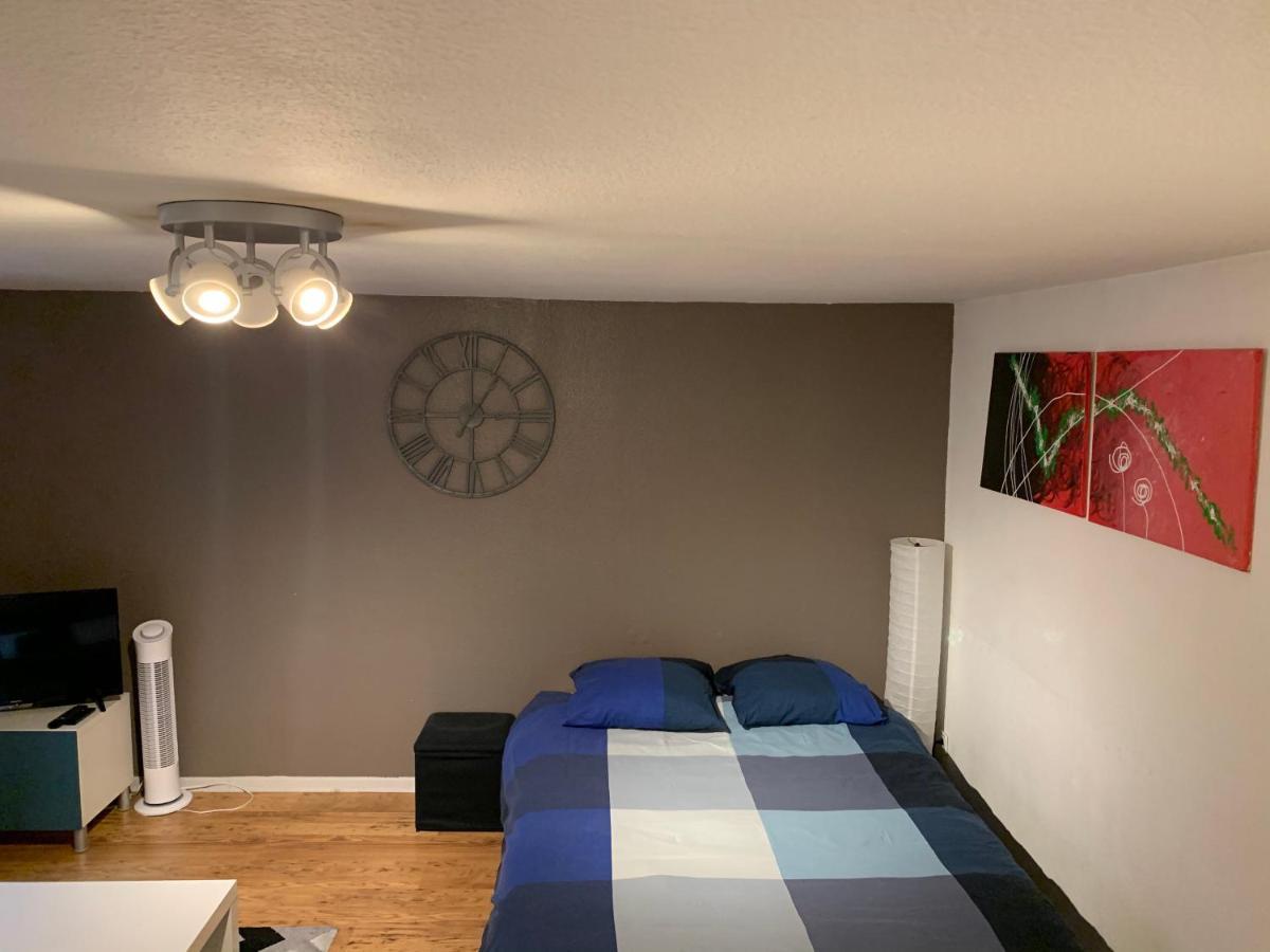 Grand Studio - Au Faubourg - Strasbourg Centre Apartment Exterior foto